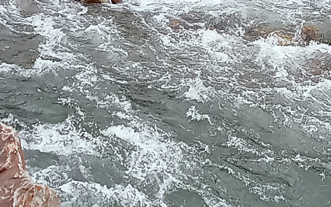 The Empowered Mentor: How to Stress Less and Lead More