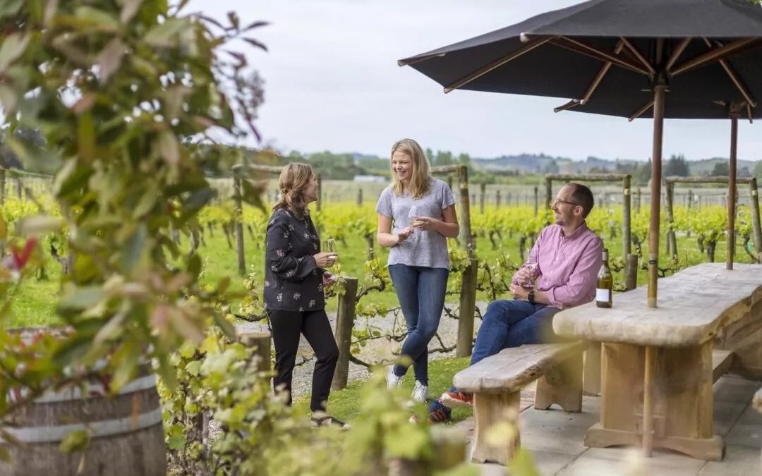 Professional Coaching